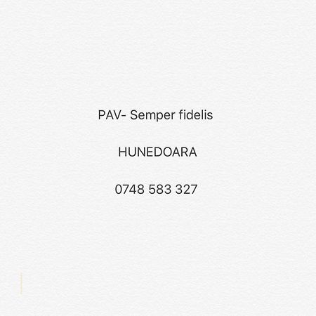 Ferienwohnung Pav- Semper Fidelis Hunedoara Exterior foto
